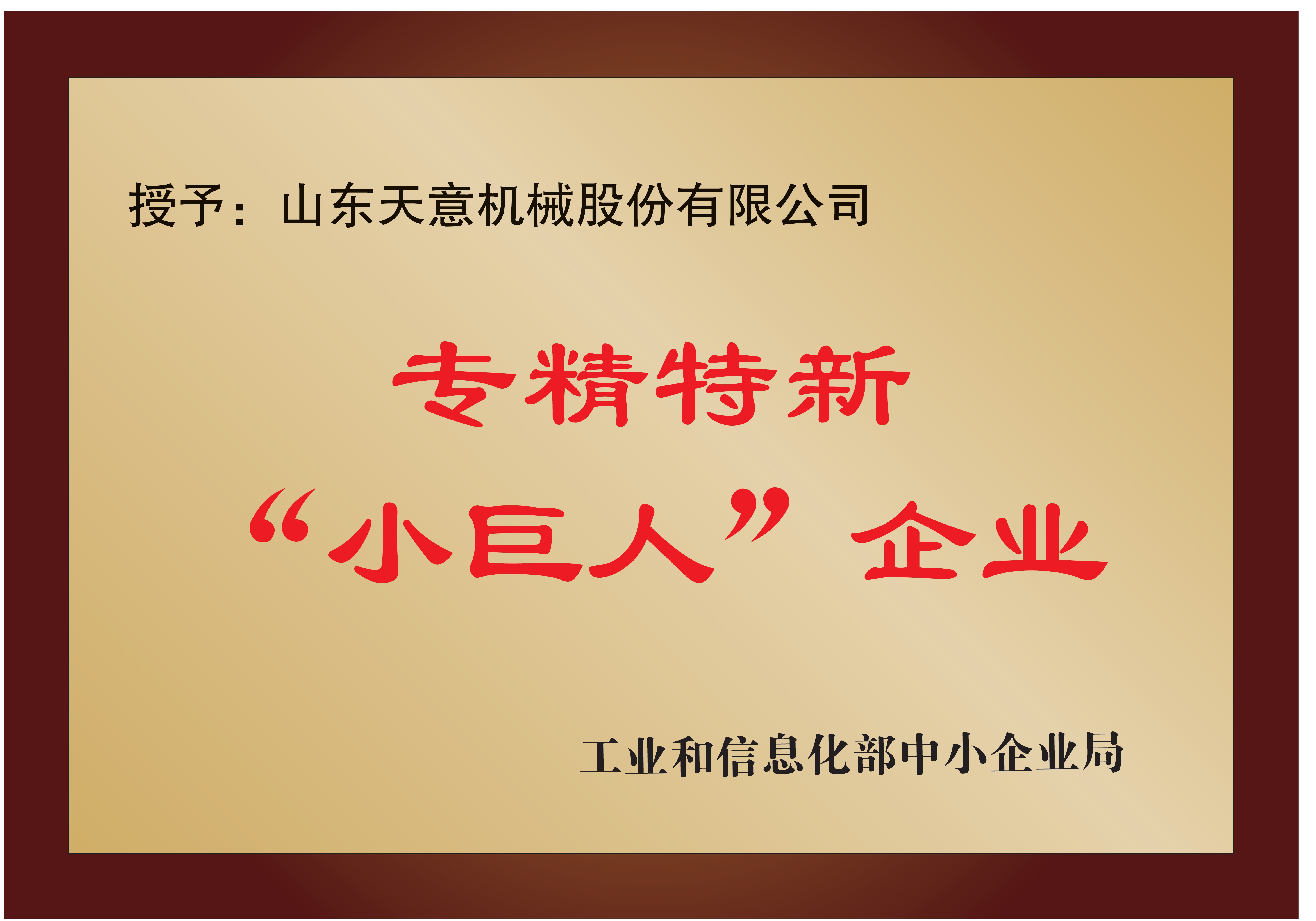 國家專精特新“小巨人”企業